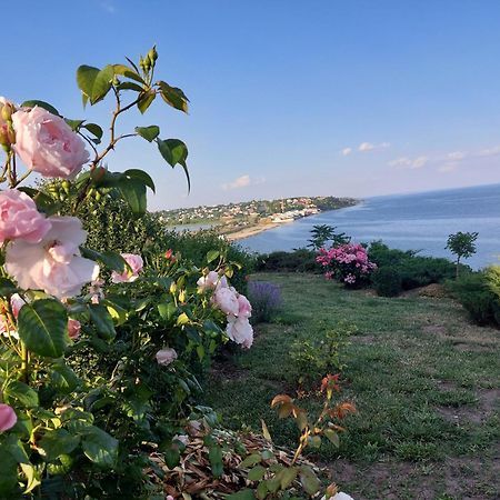 Villa Lavanda Wapniarka Zewnętrze zdjęcie